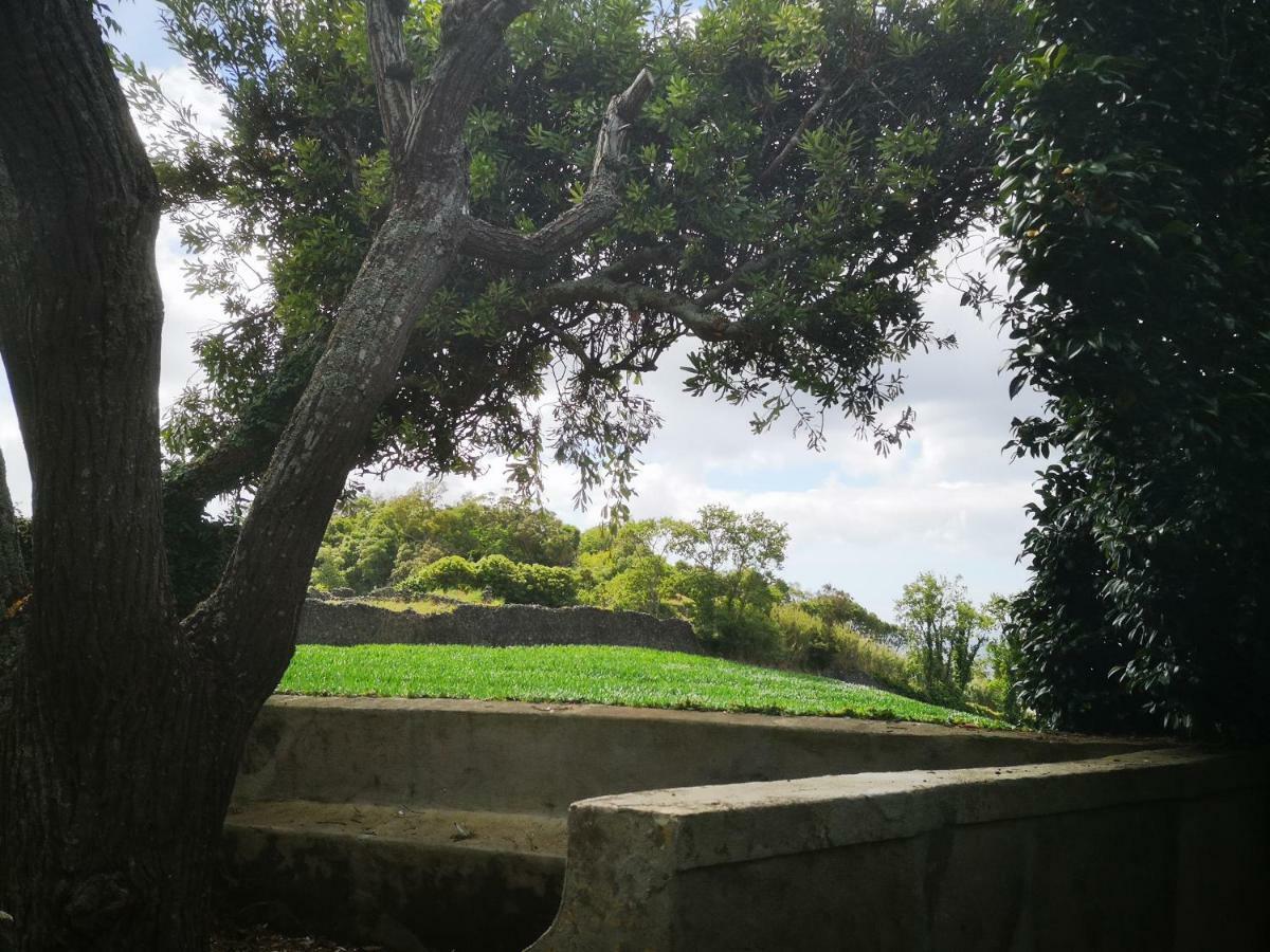 Quinta Das Camelias - Acores Ponta Delgada Exteriér fotografie